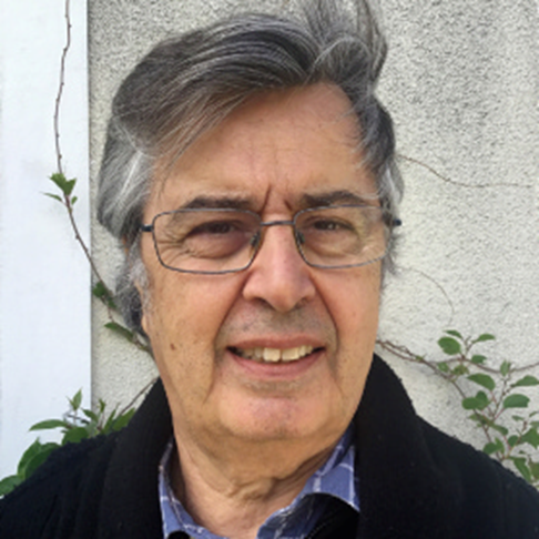 Prof. Bafoil Political Economy Energy Transition